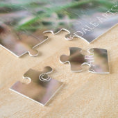 Wood Thrush Puzzle (Seite)