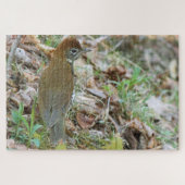 Wood Thrush Puzzle (Horizontal)