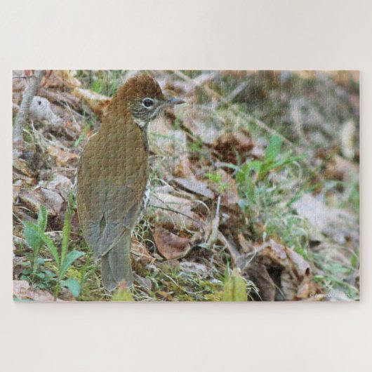 Wood Thrush Puzzle (Horizontal)