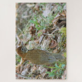 Wood Thrush Puzzle (Vertikal)