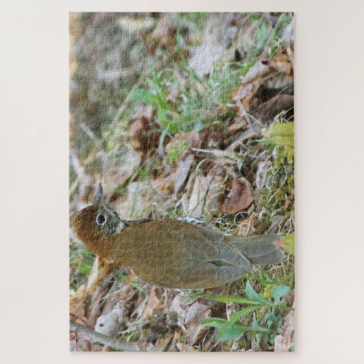Wood Thrush Puzzle (Vertikal)