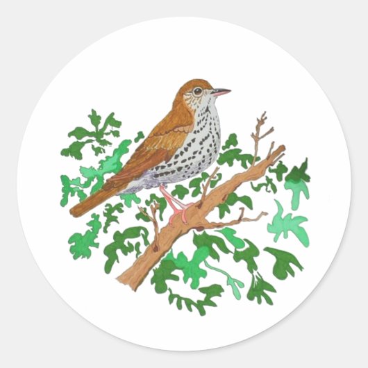 Wood Thrush Songbird, ein brauner Vogel mit Fessel Runder Aufkleber (Vorderseite)