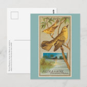 Wood Warbler Postkarte (Vorne/Hinten)