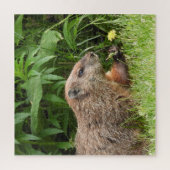 Woodchuck AKA Groundhoug mit Blume Puzzle (Vertikal)