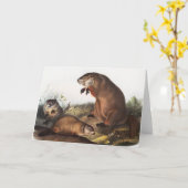 Woodchuck (Arctomys monax) Illustration Karte (Gelbe Blume)