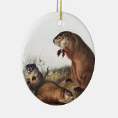 Woodchuck (Arctomys monax) Illustration Keramik Ornament (Rechts)