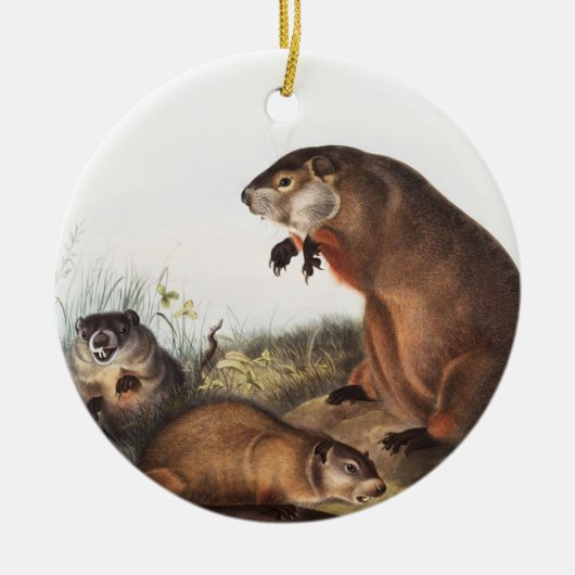 Woodchuck (Arctomys monax) Illustration Keramik Ornament (Vorne)