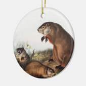 Woodchuck (Arctomys monax) Illustration Keramik Ornament (Links)