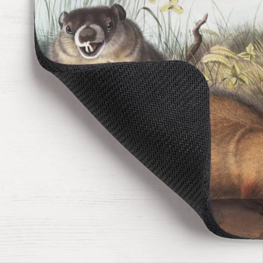 Woodchuck (Arctomys monax) Illustration Mousepad (Ecke)