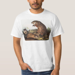 Woodchuck (Arctomys monax) Illustration T-Shirt