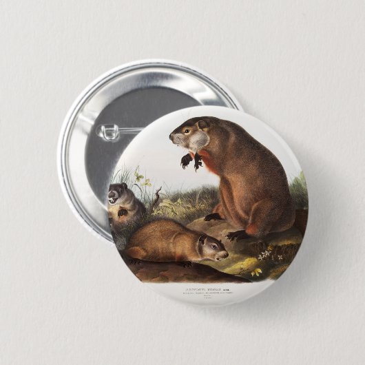 Woodchuck Camping Deko Gips Button (Vorne & Hinten)