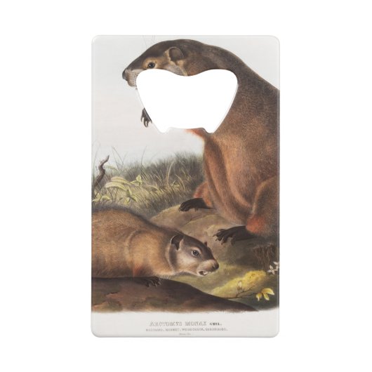 Woodchuck Camping Deko Gips Geldbeutel Flaschenöffner (Rückseite)