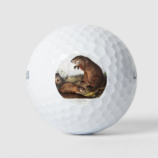Woodchuck Camping Deko Gips Golfball (Vorderseite)