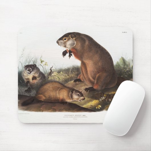 Woodchuck Camping Deko Gips Mousepad (Mit Mouse)