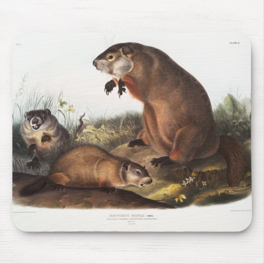 Woodchuck Camping Deko Gips Mousepad (Vorne)