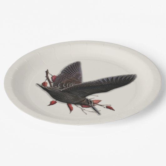 Woodcock Pappteller (Schrägansicht)