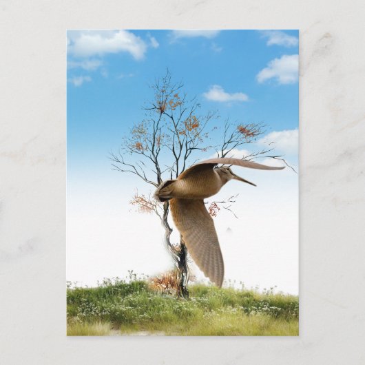Woodcock Postkarte (Vorderseite)