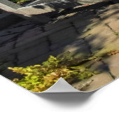 Wooden Bench in Lush Garden Poster (Ecke)