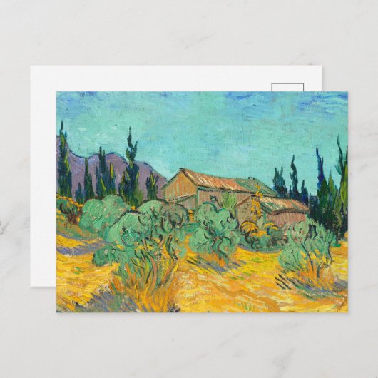 Wooden Cabins among the Olive Trees and Cypresses Postkarte (Vorne/Hinten)