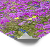 Wooden Cart in field of Phlox, Blue Bonnets with Poster (Ecke)