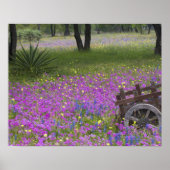Wooden Cart in field of Phlox, Blue Bonnets with Poster (Vorne)