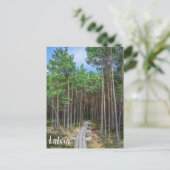 Wooden trail in pine forest postkarte (Stehend Vorderseite)