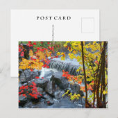 Woodford Staat Park Postkarte (Vorne/Hinten)