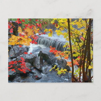 Woodford Staat Park Postkarte