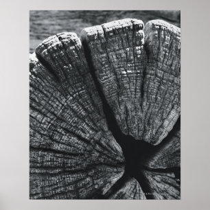 Woodgraindetail Poster