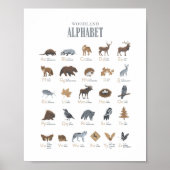 Woodland Alphabet Animal ABC Kinderzimmer Decor Poster (Vorne)