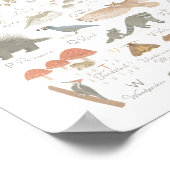 Woodland Animal Alphabet ABC Kinder Zimmerdekor Poster (Ecke)