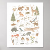 Woodland Animal Alphabet ABC Kinder Zimmerdekor Poster (Vorne)