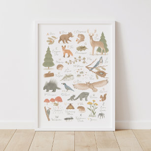 Woodland Animal Alphabet ABC Kinder Zimmerdekor Poster