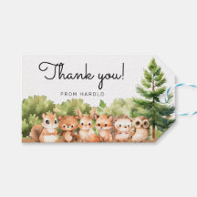 Woodland Animal Forest Friends Boy Baby Dusche