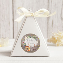 Woodland Animal Friends Sparkle Baby Dusche