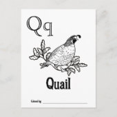 Woodland Animals ABC Coloring Baby Shooting Activi Postkarte (Vorderseite)