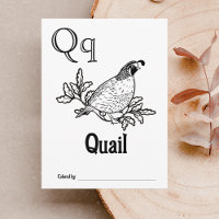 Woodland Animals ABC Coloring Baby Shooting Activi