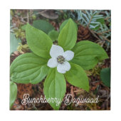 Woodland Bunchberry Dogwood Floral Fliese (Vorderseite)