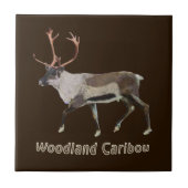 Woodland Caribbean Fliese (Vorderseite)