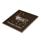 Woodland Caribbean Fliese (Seite)