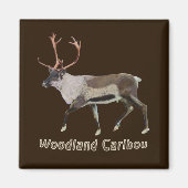 Woodland Caribbean Magnet (Vorne)