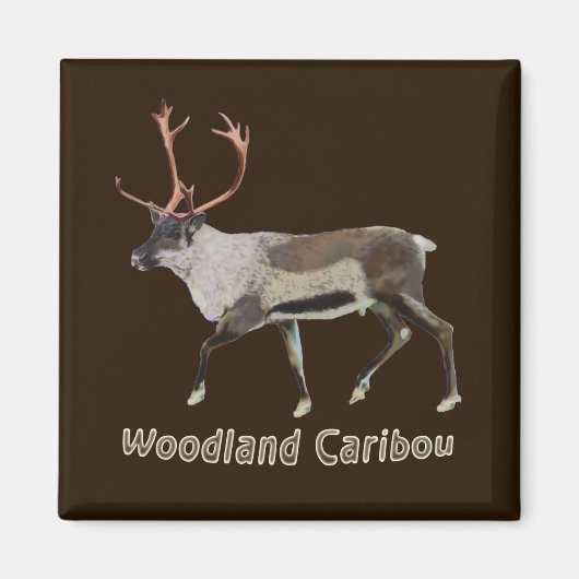 Woodland Caribbean Magnet (Vorne)