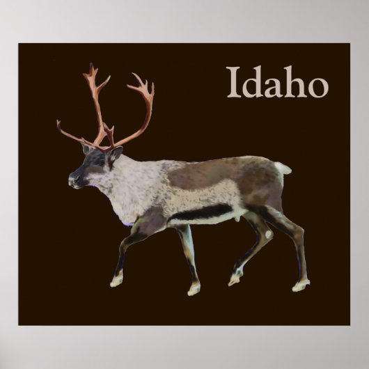 Woodland Caribbean Poster (Vorne)