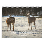 Woodland Creatures Nature  Kalender (Titelbild)