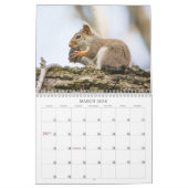 Woodland Creatures Nature  Kalender (Mär 2026)