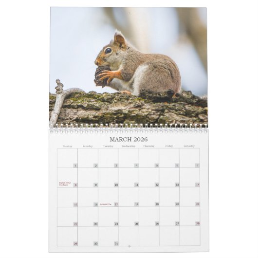 Woodland Creatures Nature  Kalender (Mär 2026)