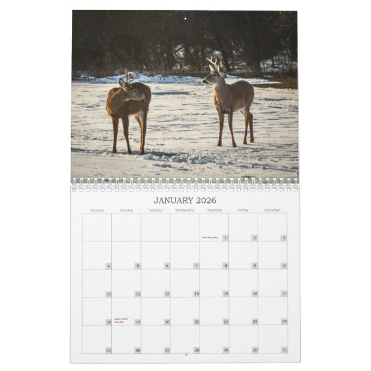 Woodland Creatures Nature  Kalender (Jan 2026)