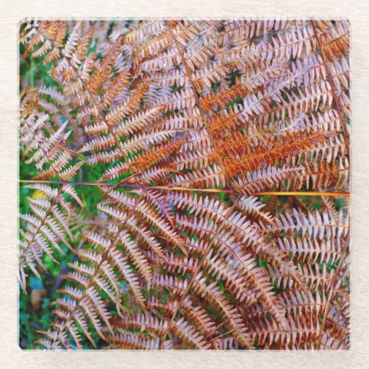 Woodland Ferns Glasuntersetzer (Vorderseite)