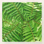 Woodland Ferns Glasuntersetzer (Vorderseite)