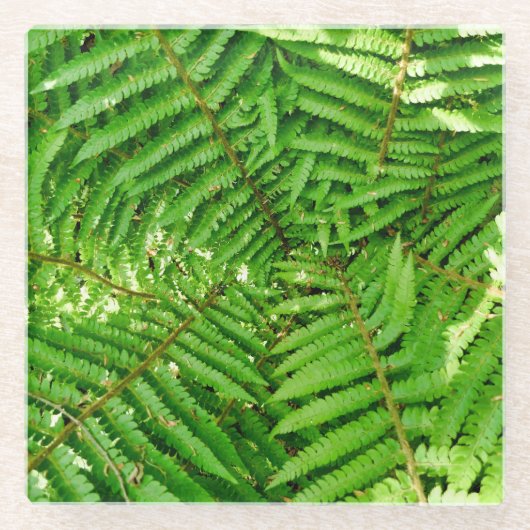 Woodland Ferns Glasuntersetzer (Vorderseite)